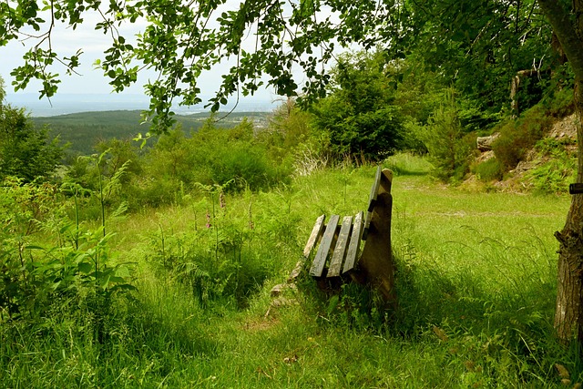 田贤斗等 田贤斗等