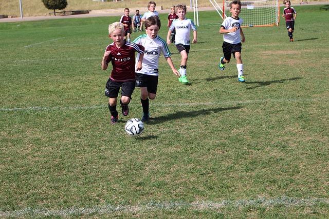 例如葡萄牙 例如葡萄牙