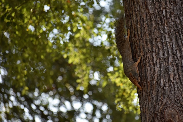 这从侧面反 这从侧面反