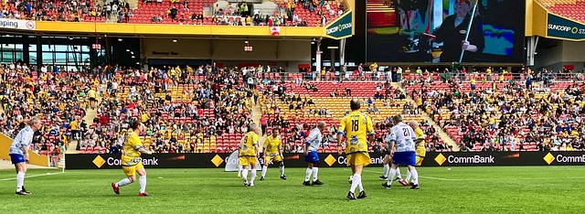 全球粉丝的 全球粉丝的