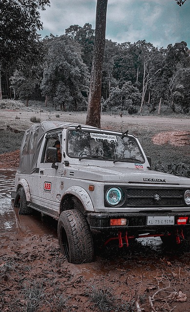 大的竞争力 大的竞争力