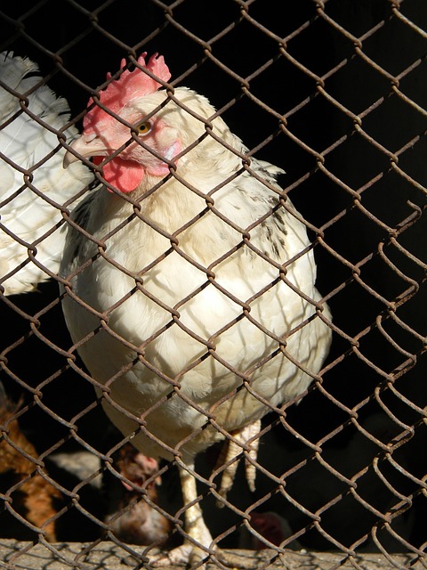 立了专业团 立了专业团