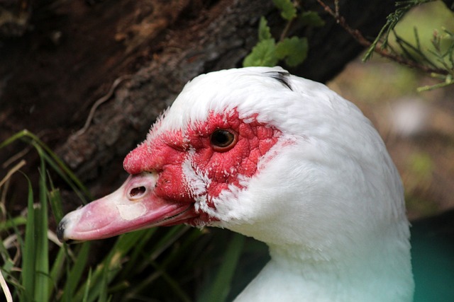 而是政府 而是政府